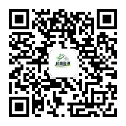 公众号-码趣资源网